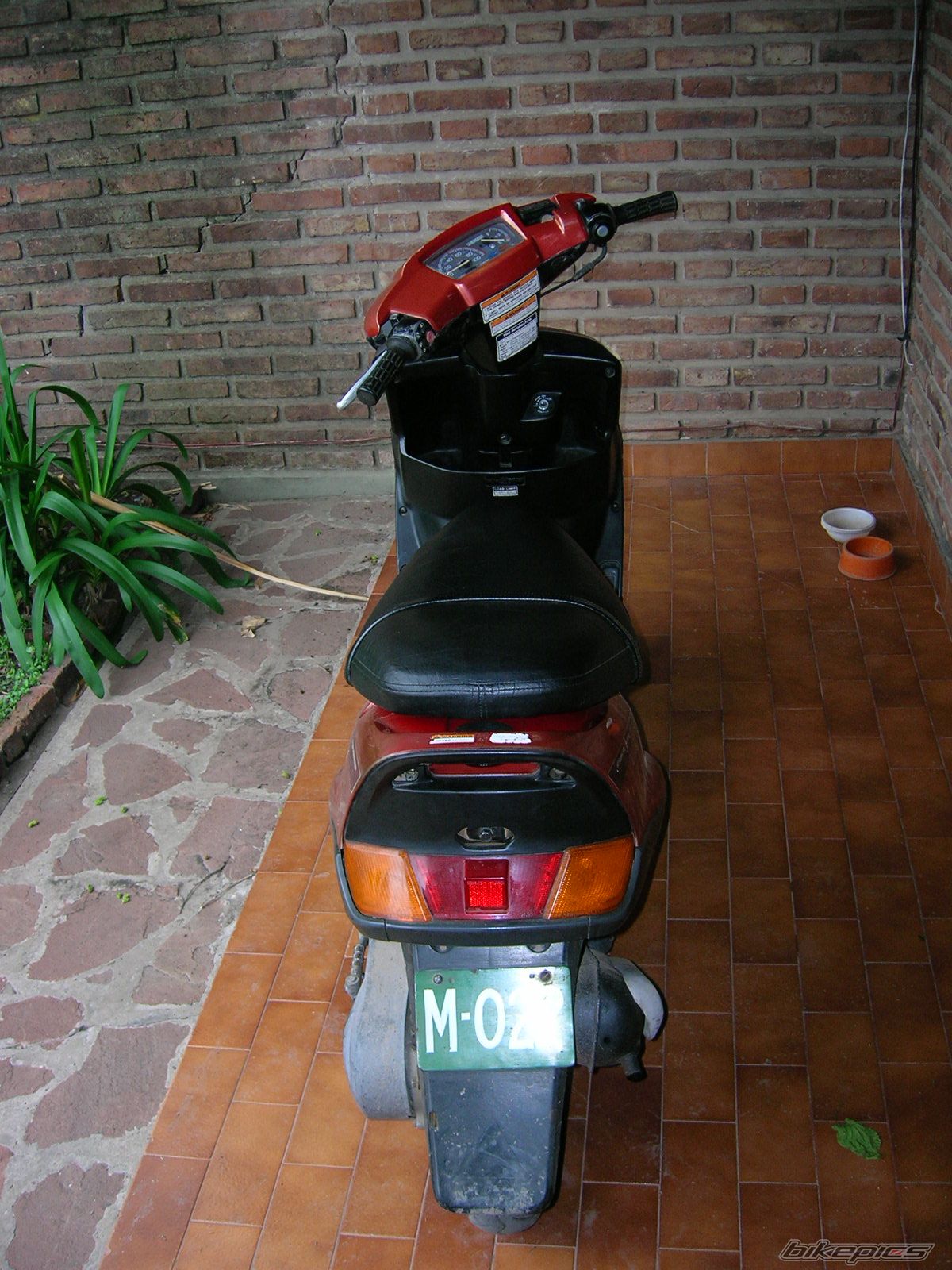Photo 1455757