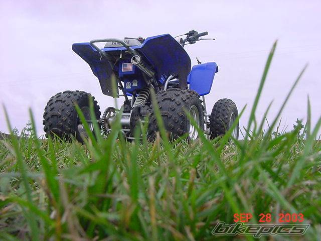Photo 145577