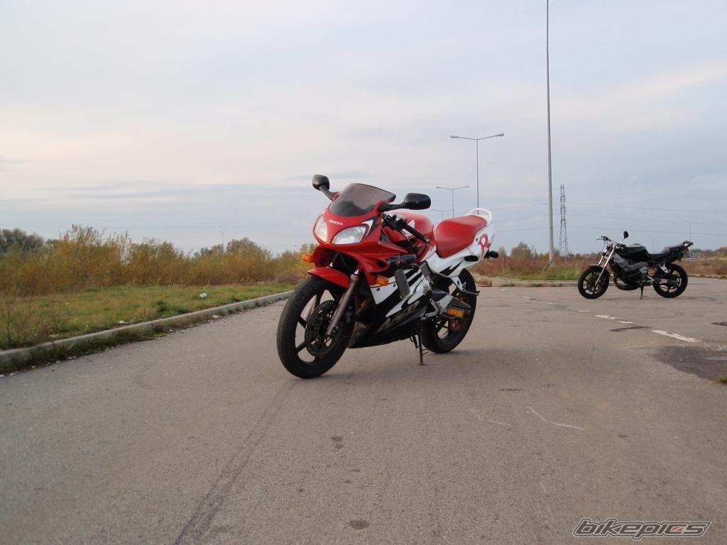Photo 1455776