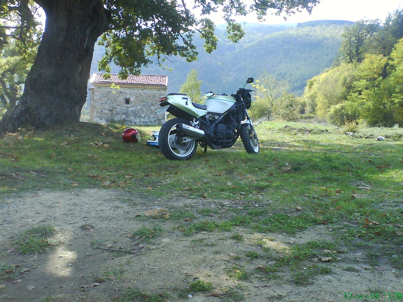 Photo 1455781