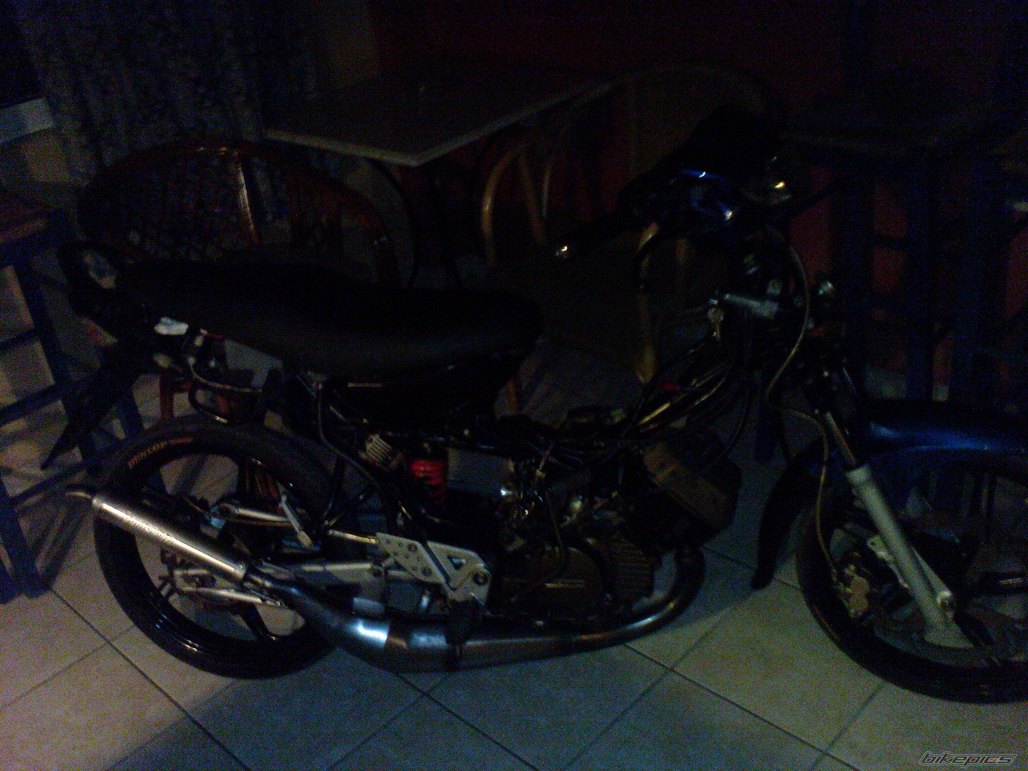 Photo 1455783