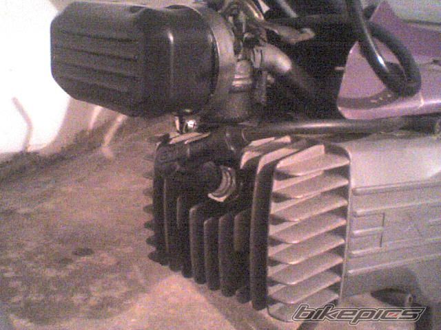 Photo 1455894