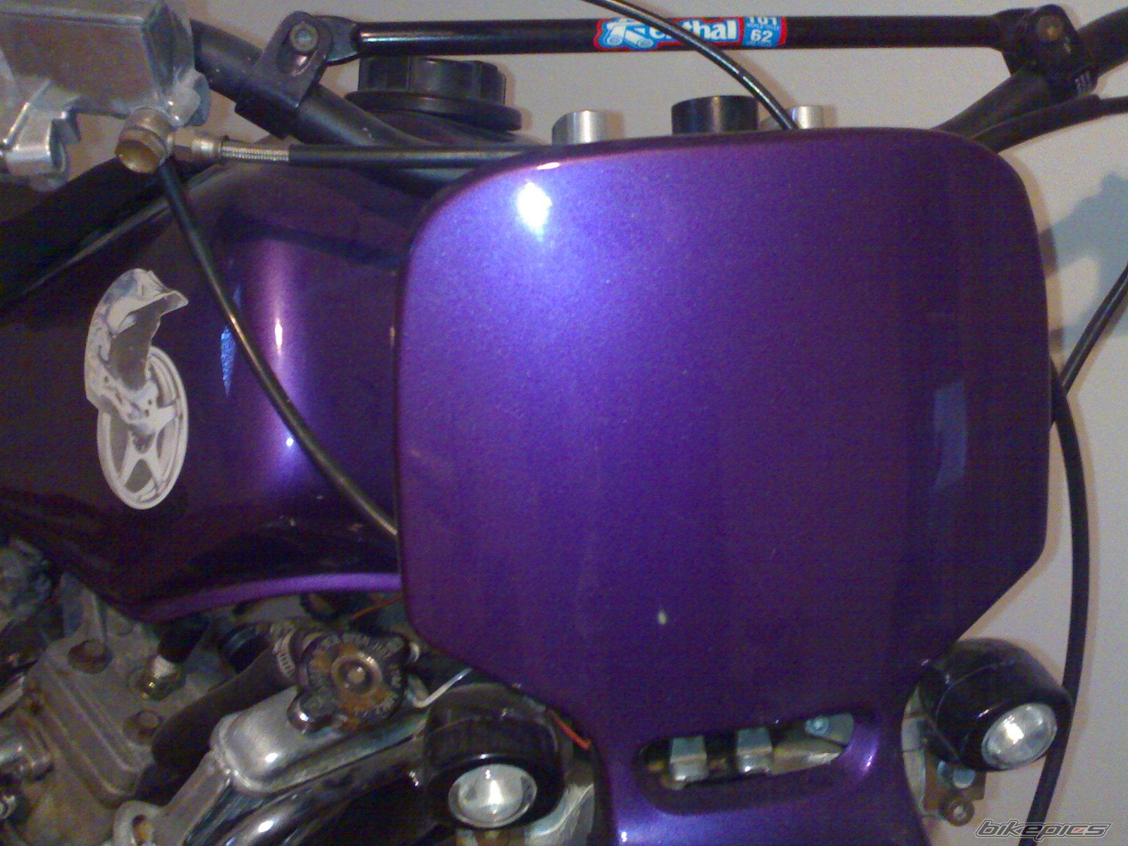 Photo 1455907