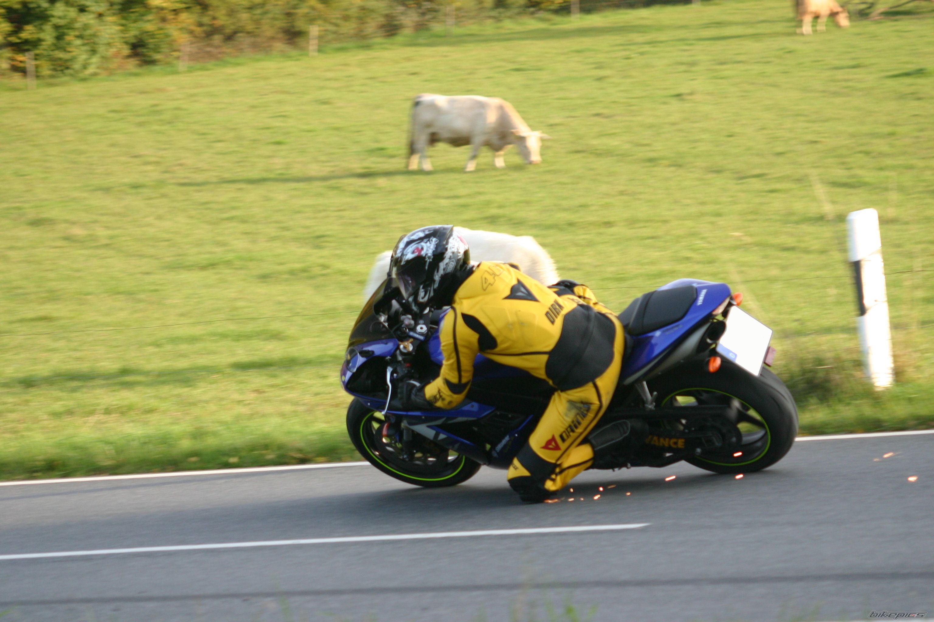 Bike Photo 1455908