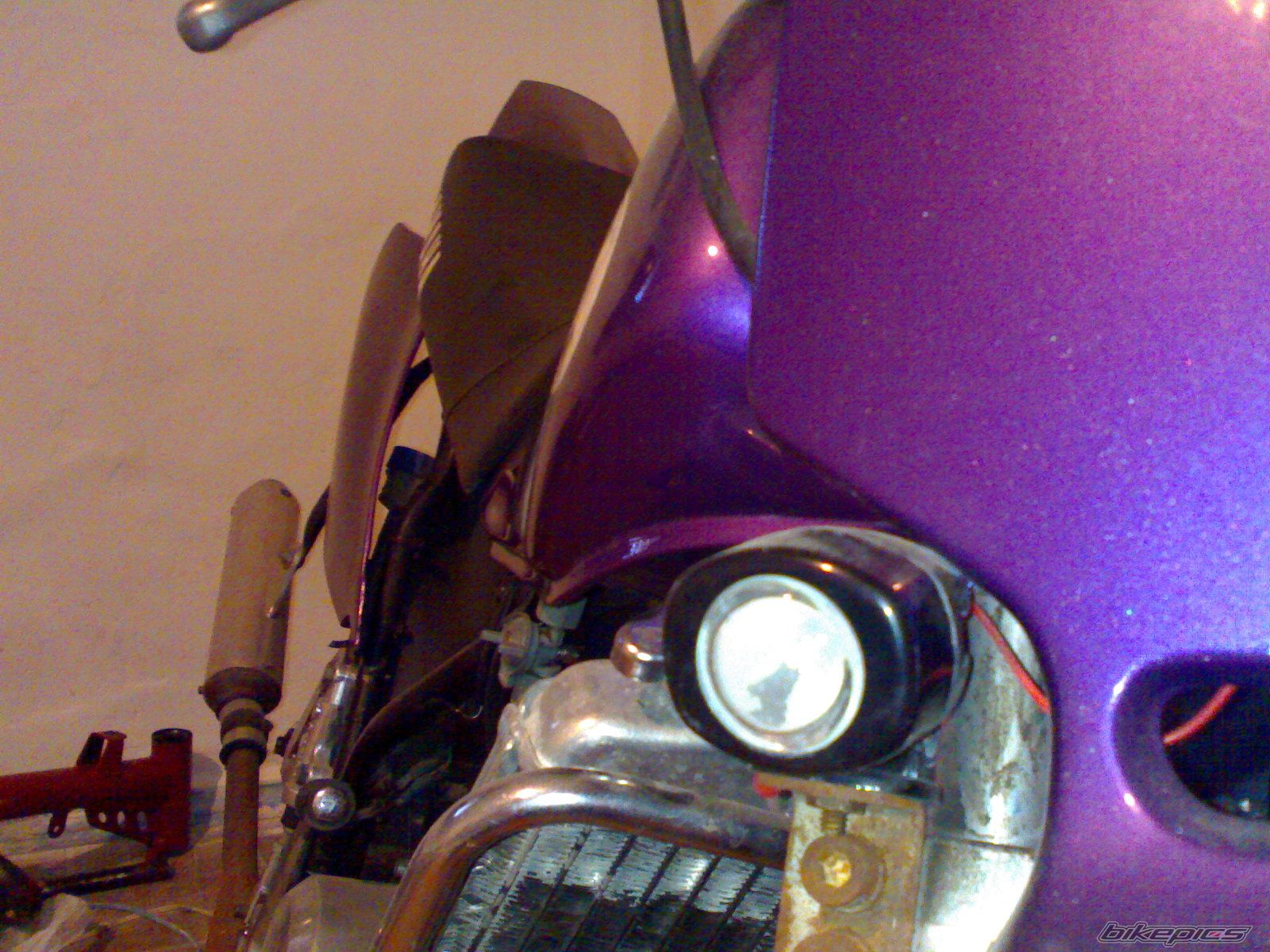 Photo 1455910