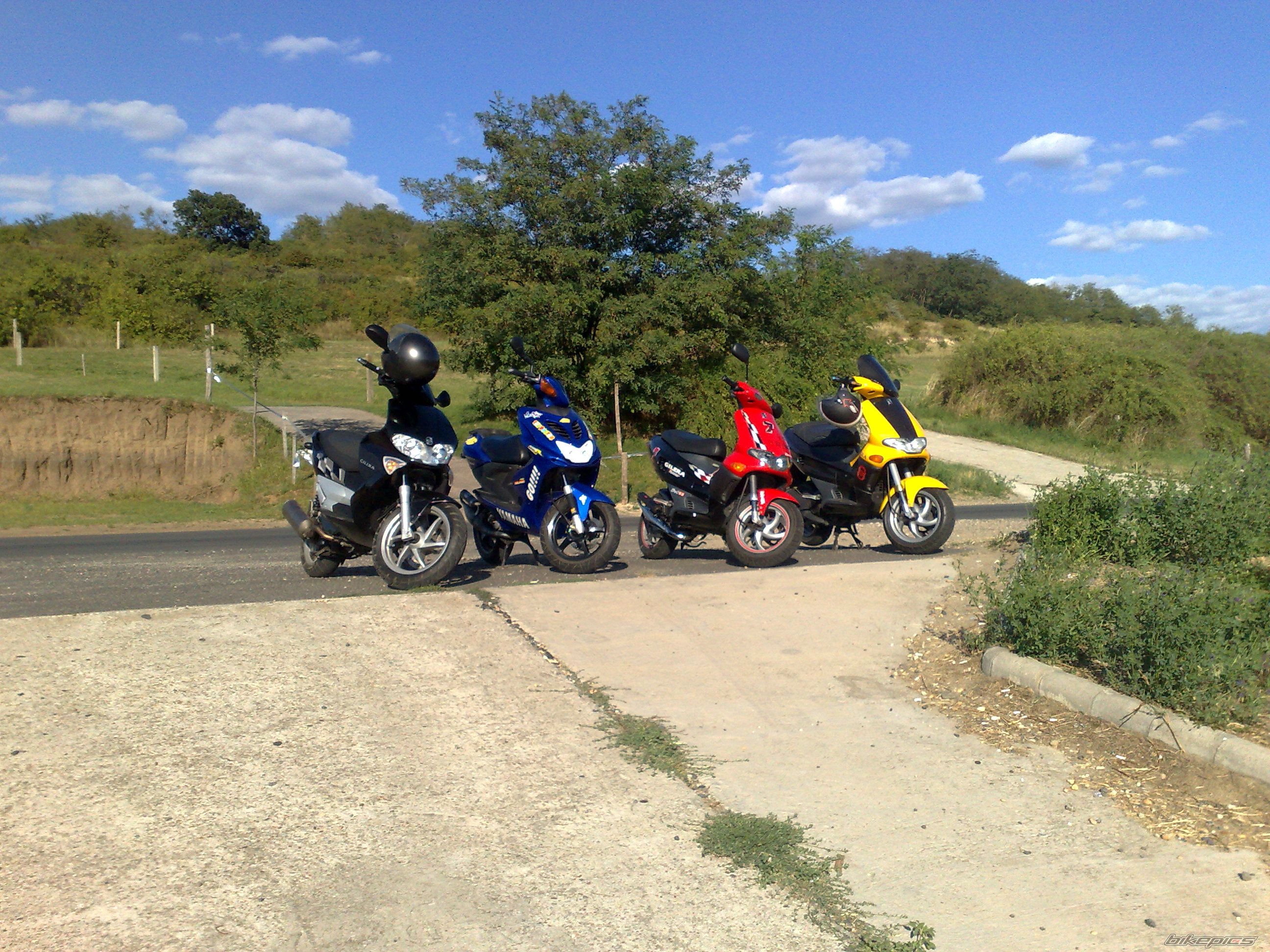 Photo 1455921