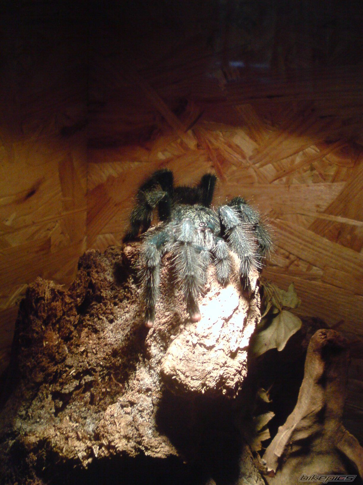 Photo 1456003