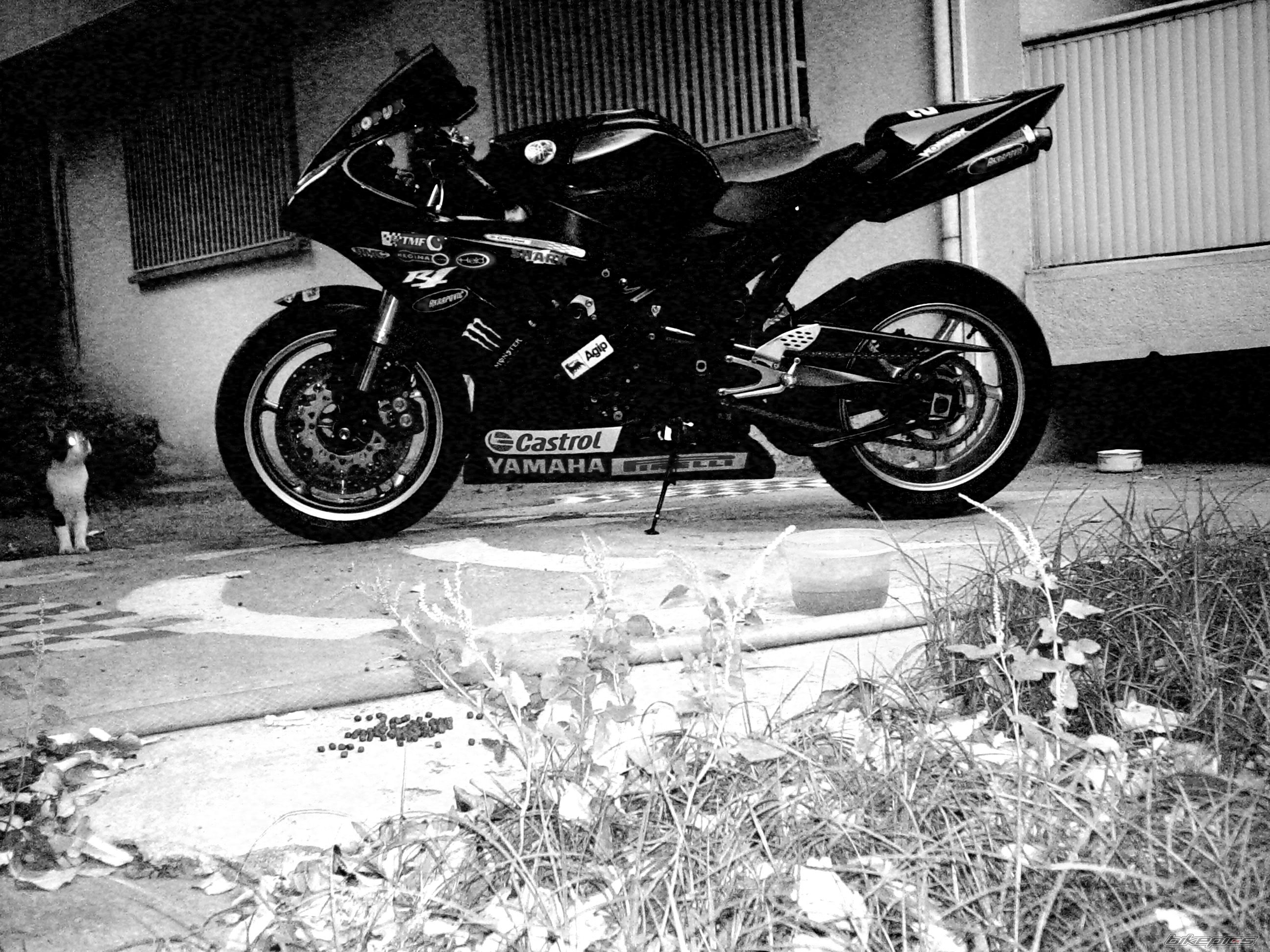 Photo 1456022