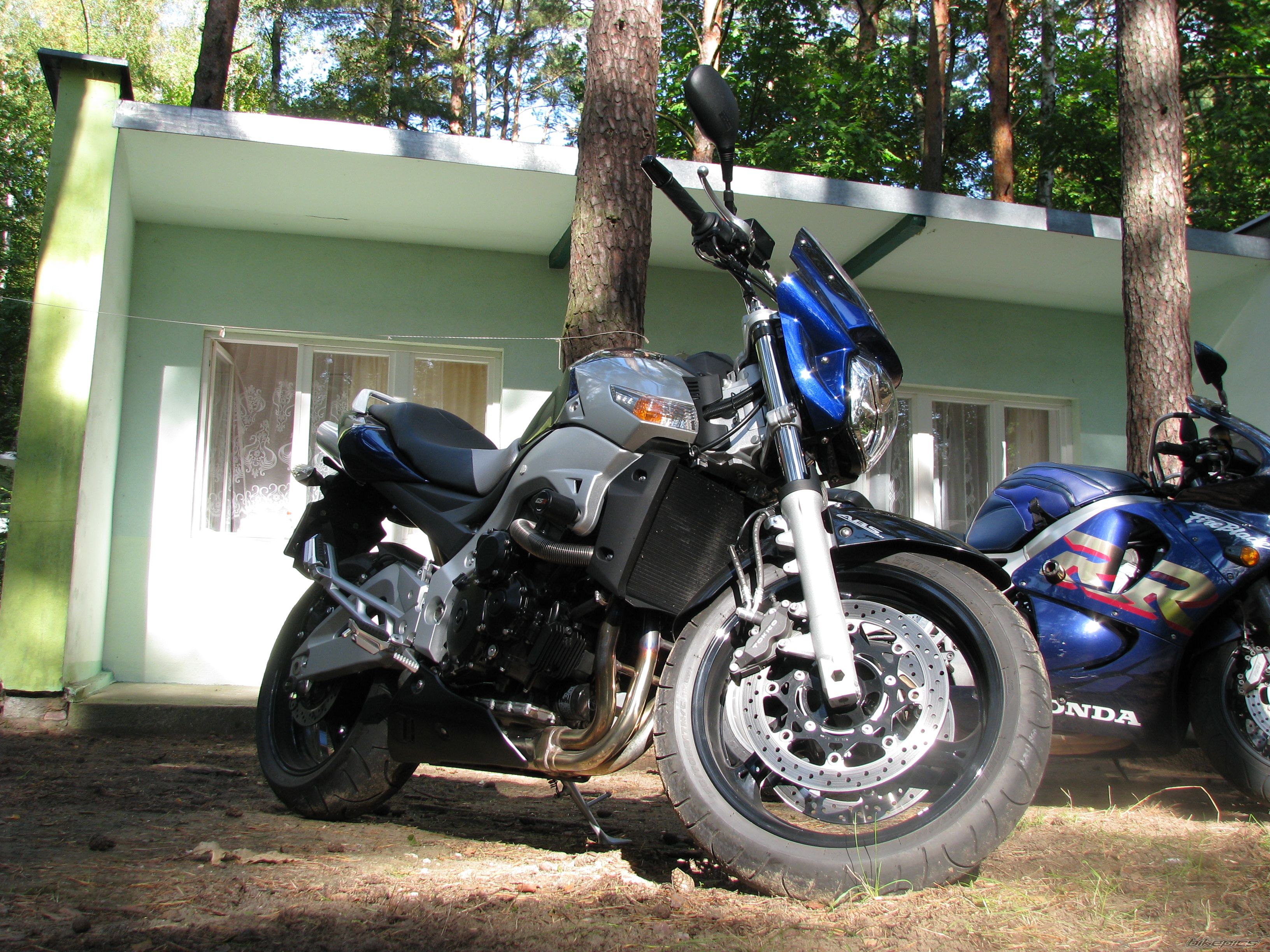 Photo 1456033