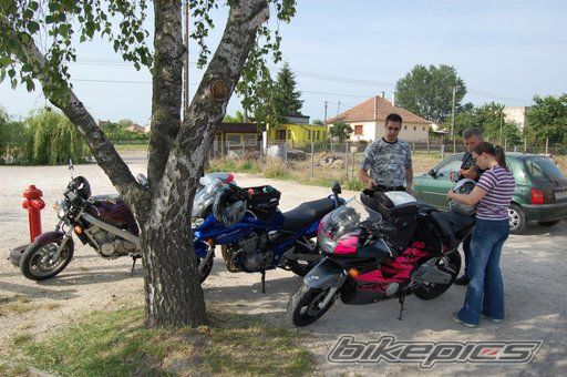 Photo 1456060