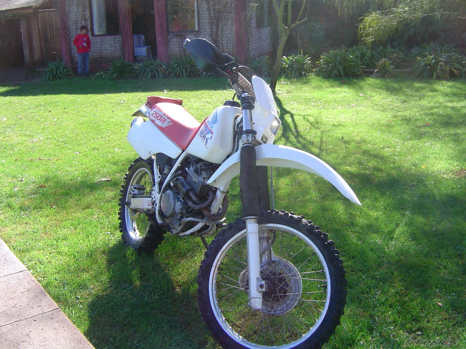 Bike Photo 1456173