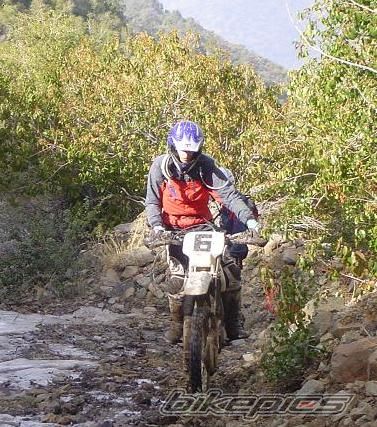 Bike Photo 1456188