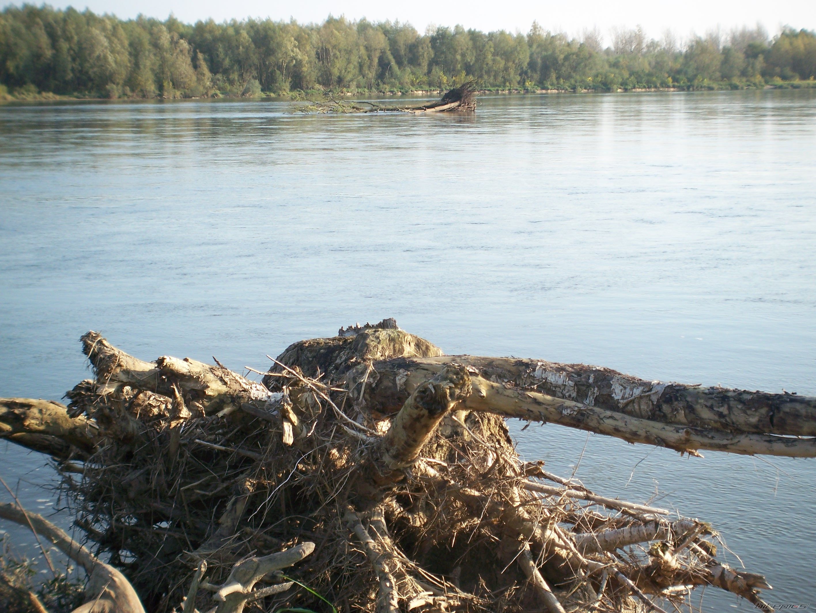 Photo 1456243