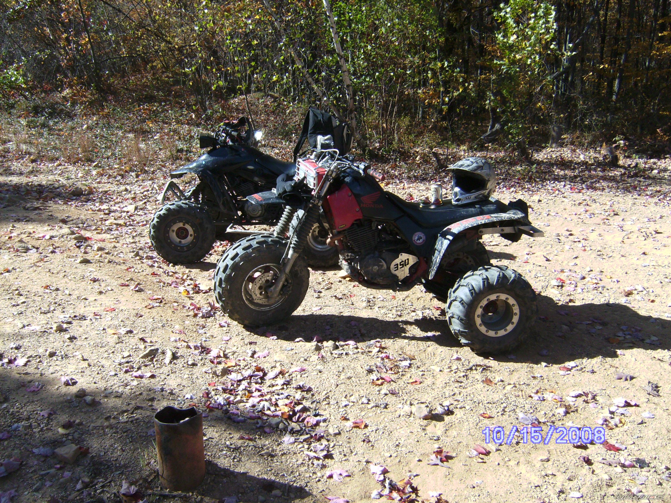 Photo 1456245