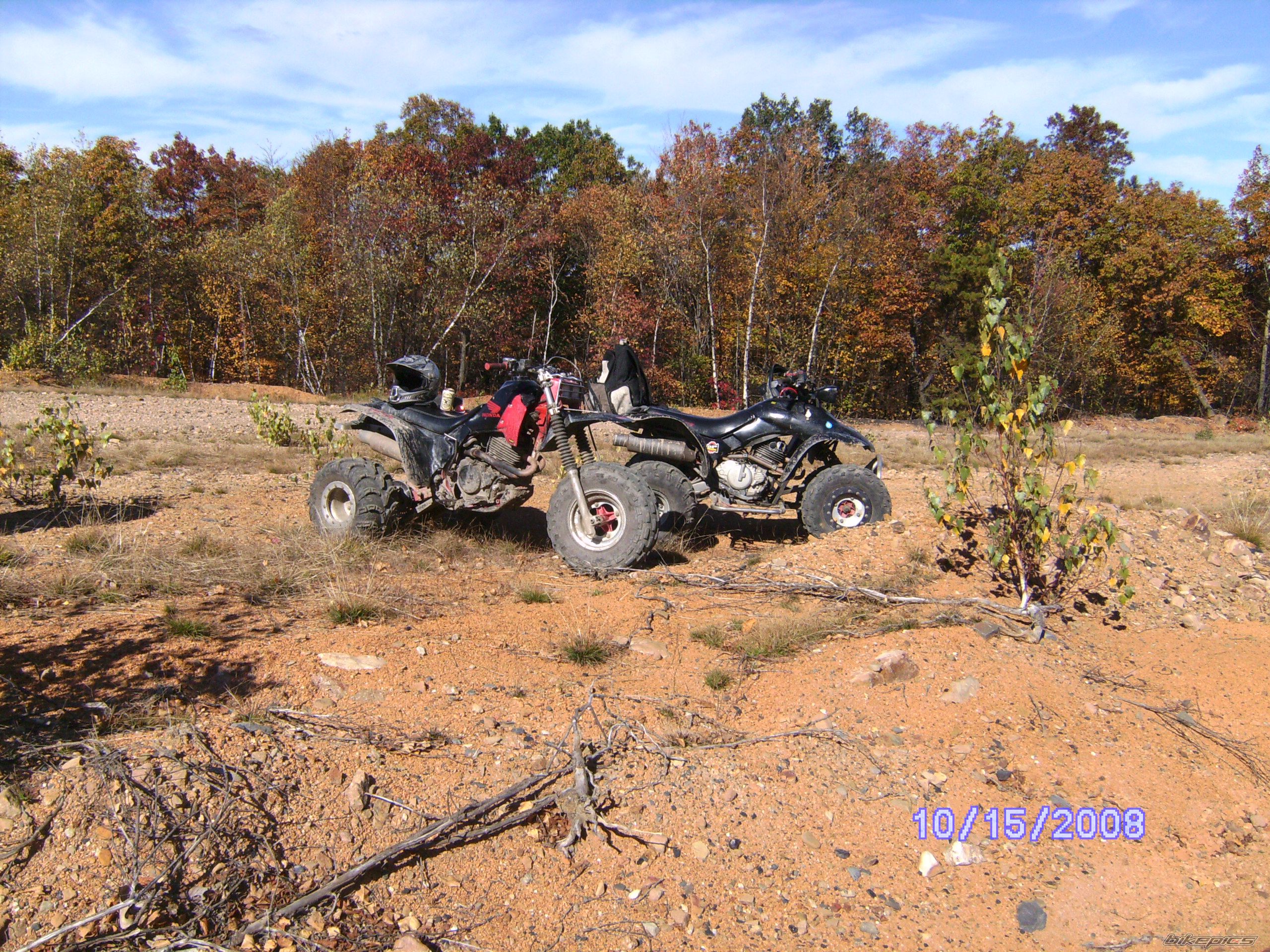 Photo 1456246