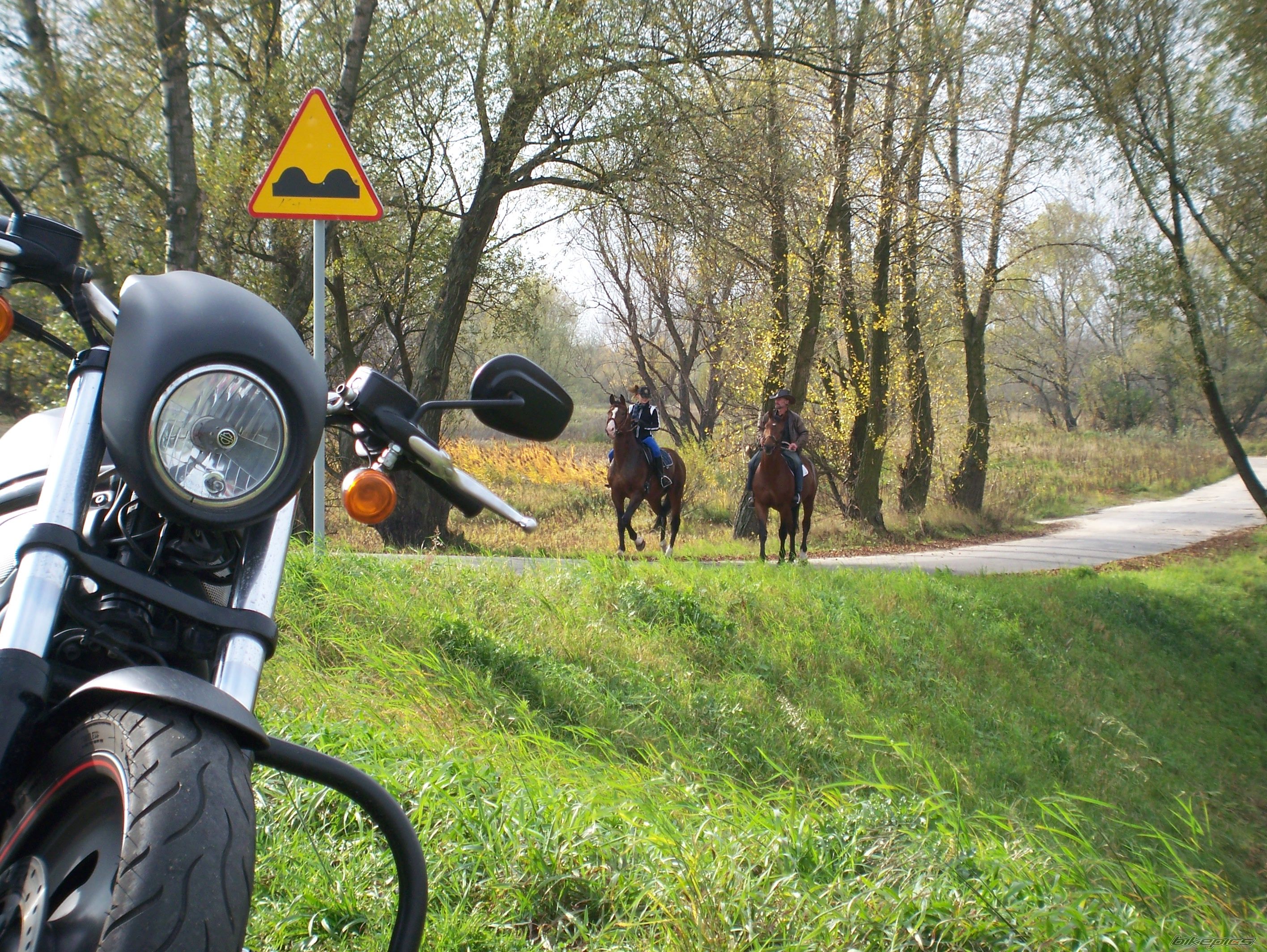 Bike Photo 1456255