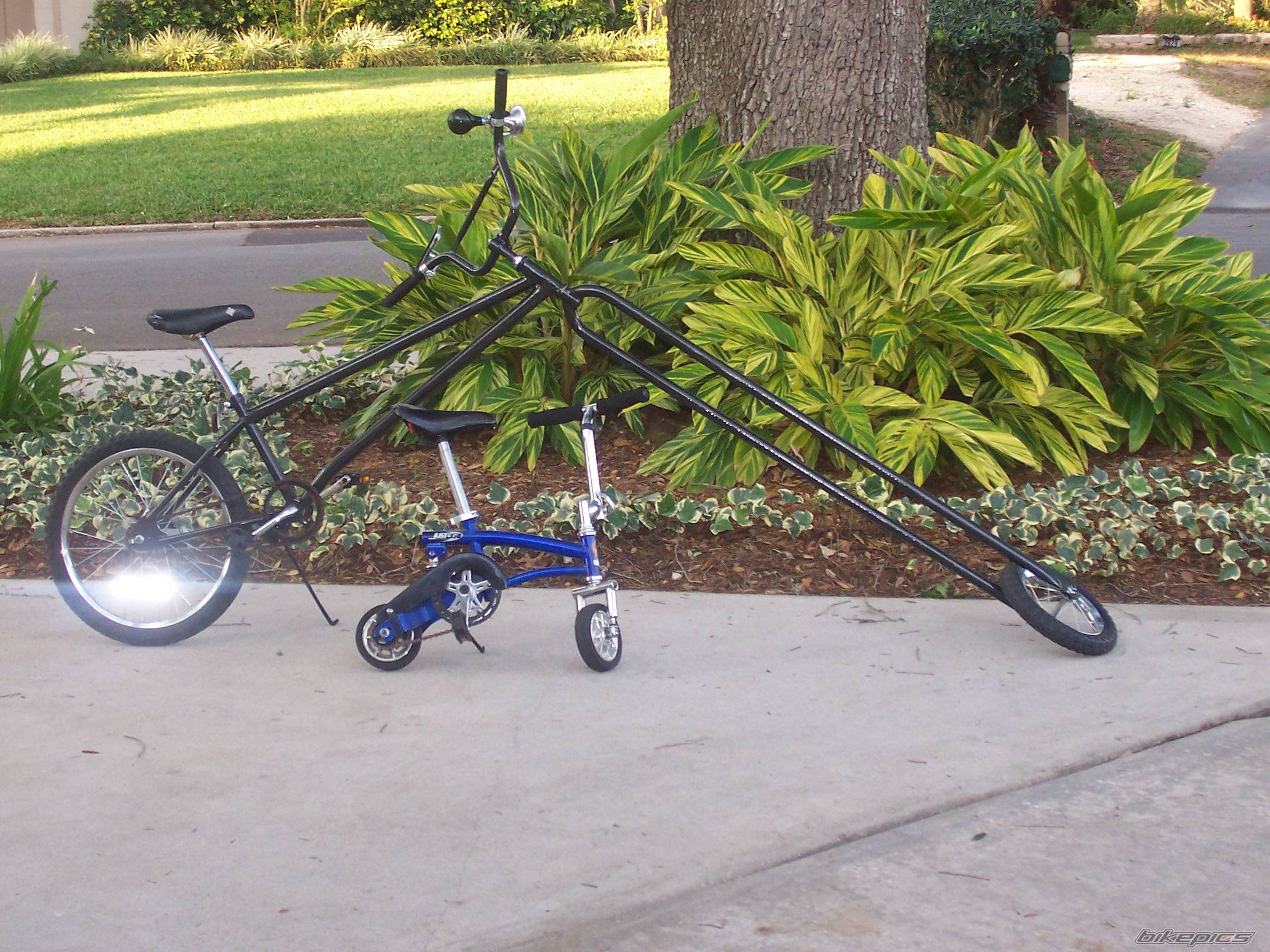 Bike Photo 145626