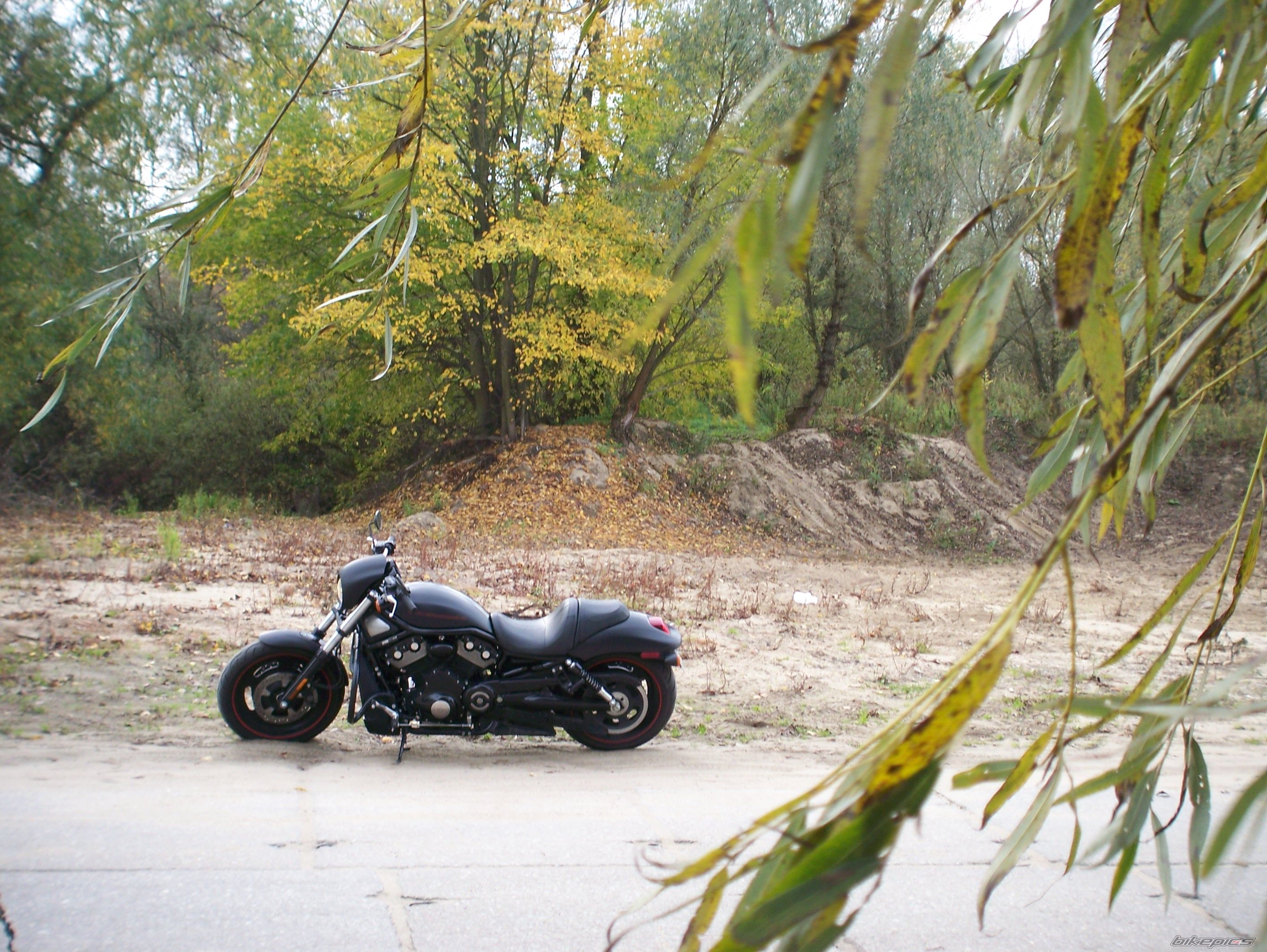 Bike Photo 1456261