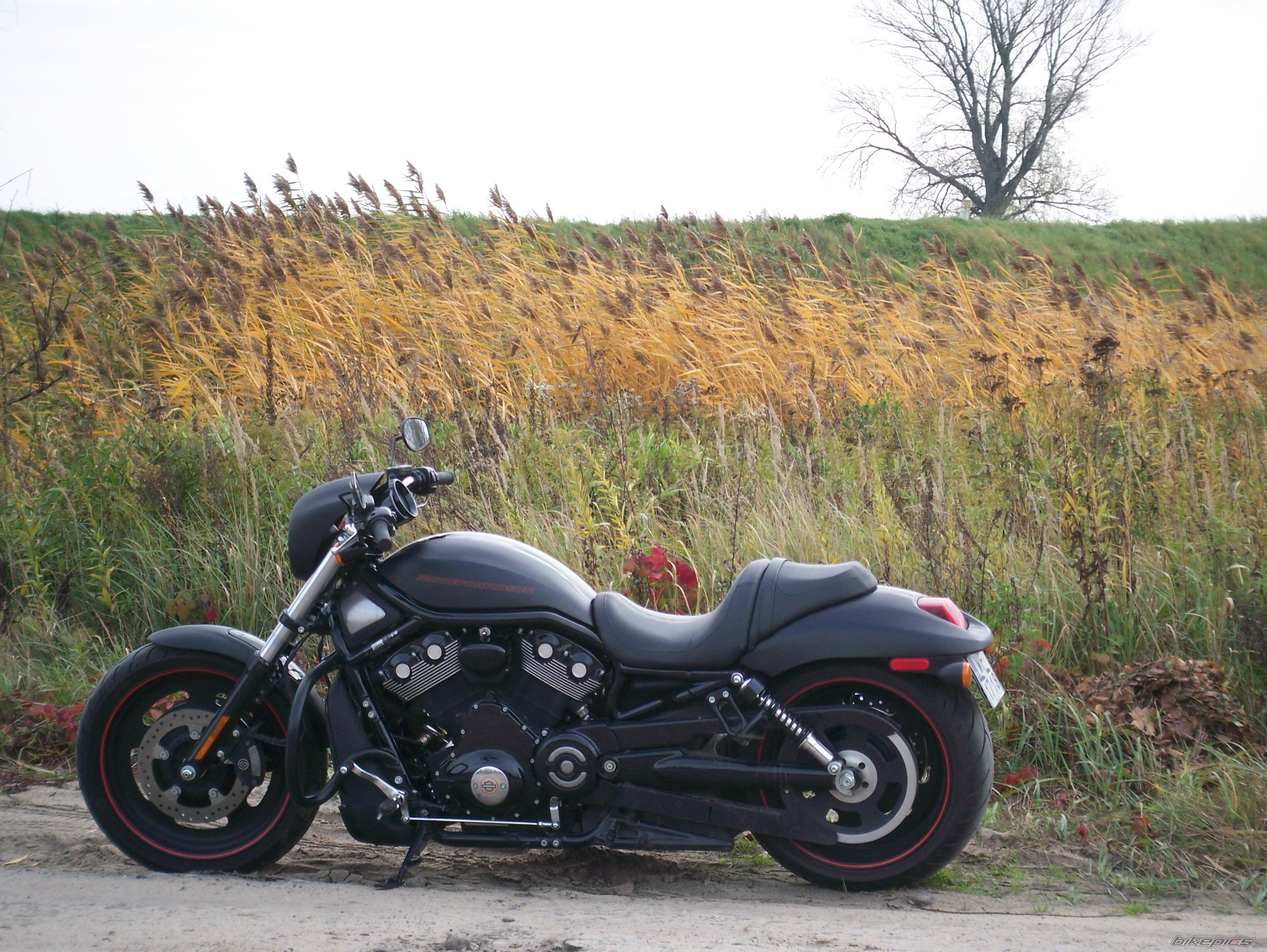 Bike Photo 1456263