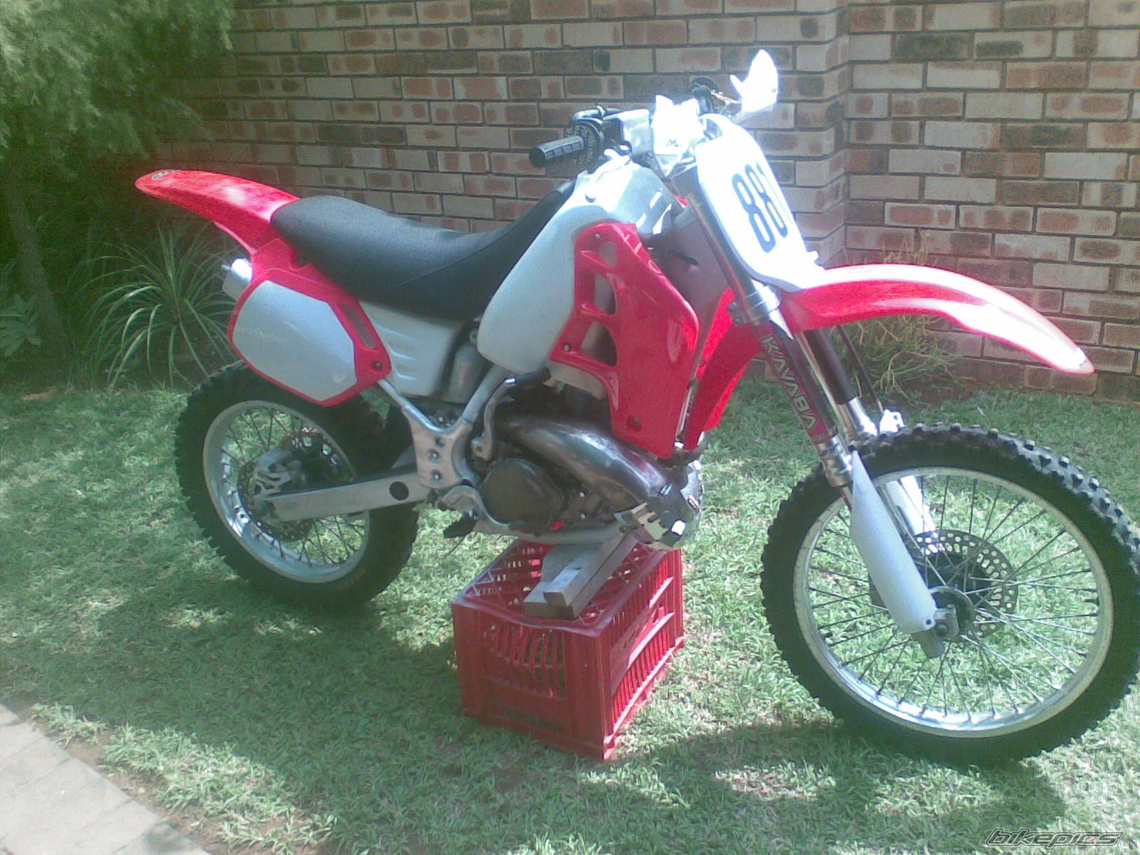 Photo 1456277