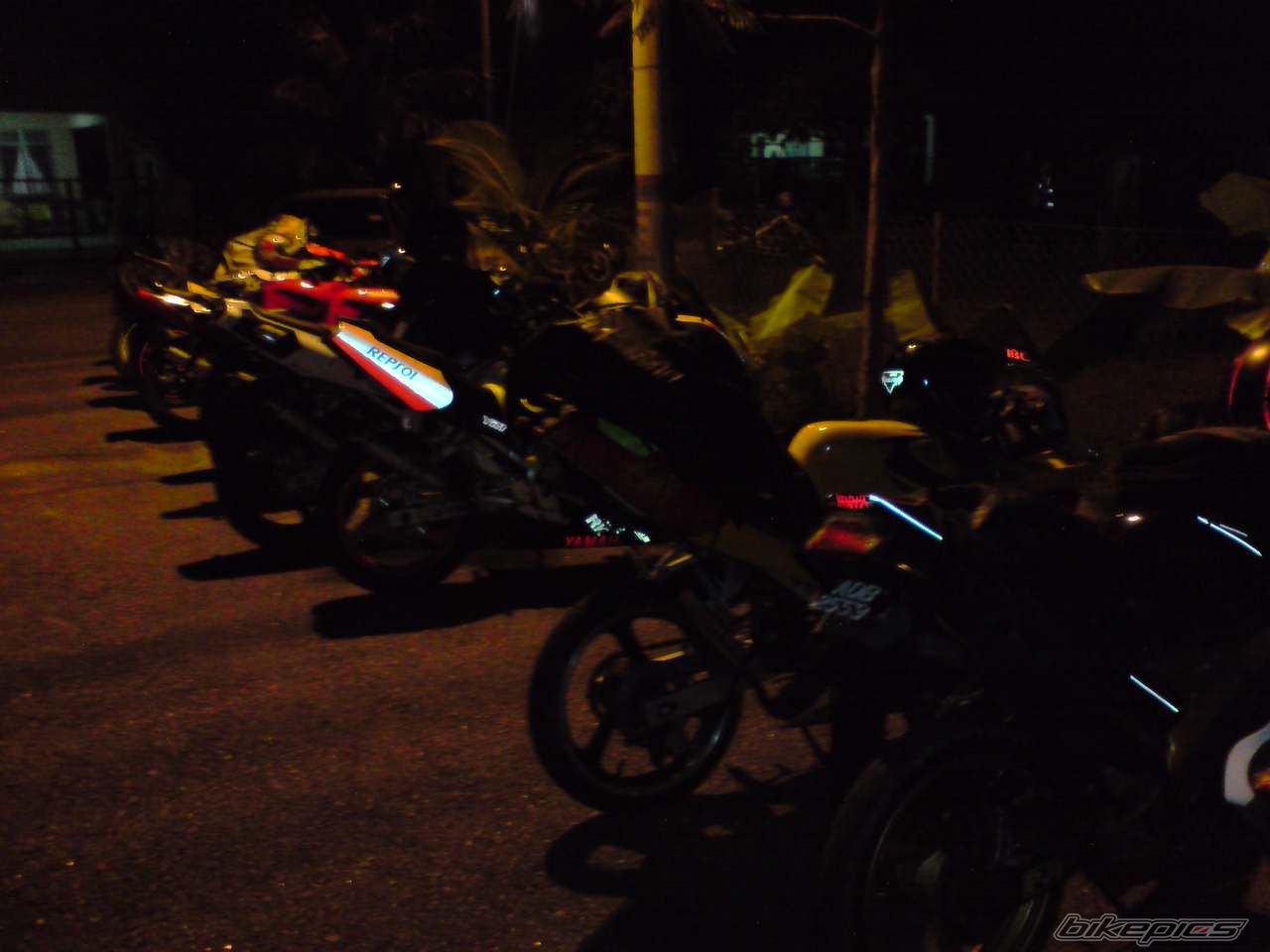 Photo 1456288