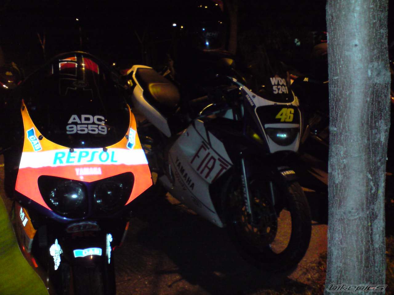 Photo 1456291
