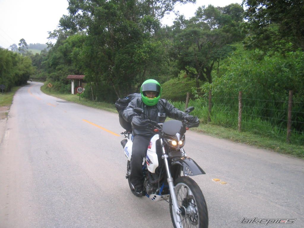 Photo 1456295