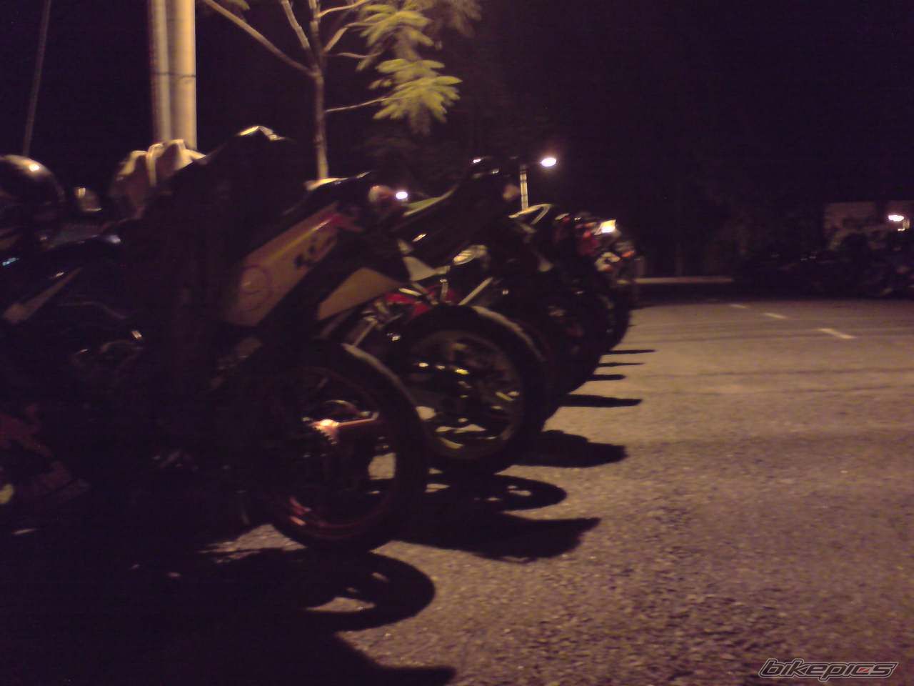 Photo 1456301