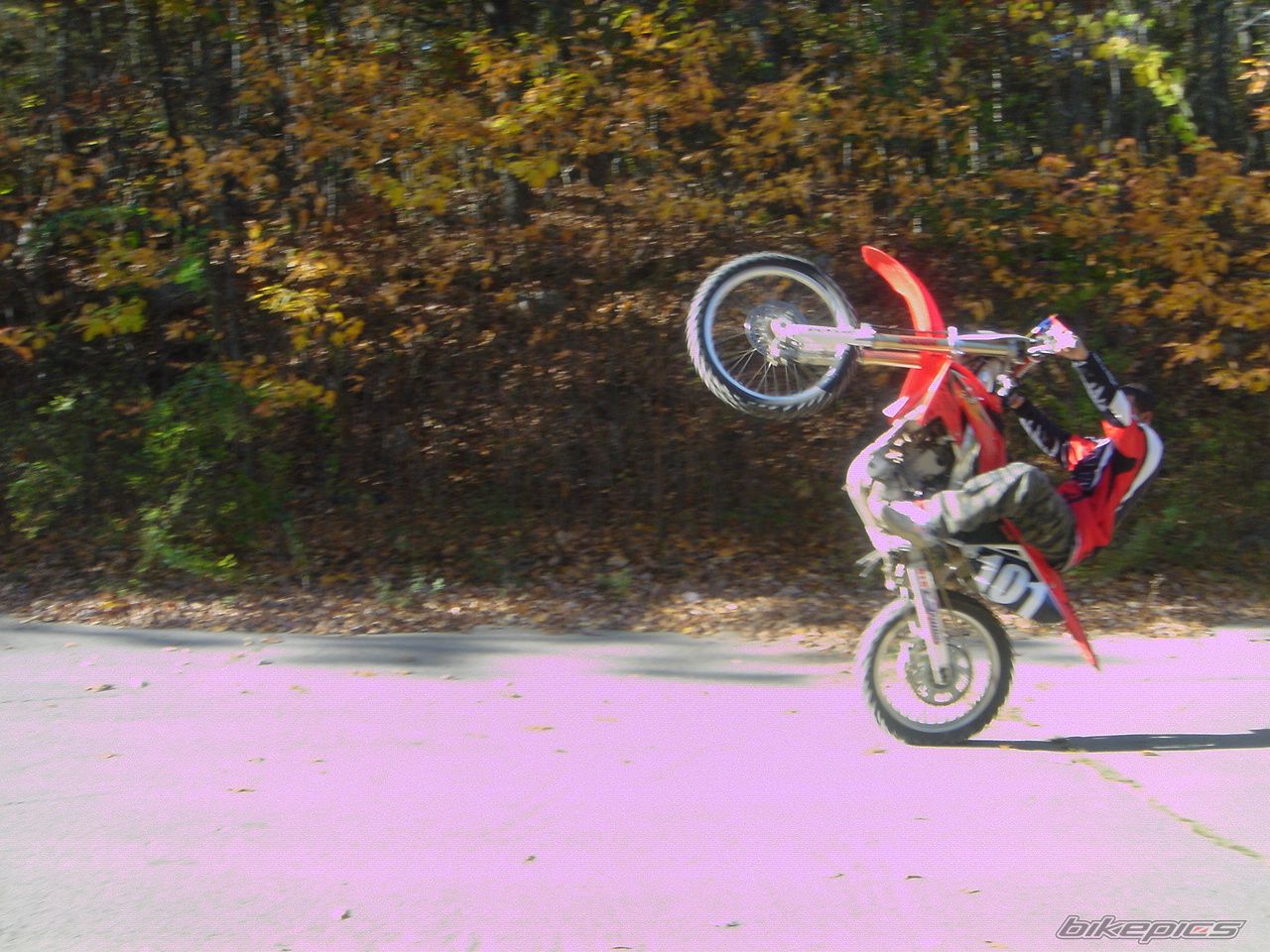 Photo 1456302