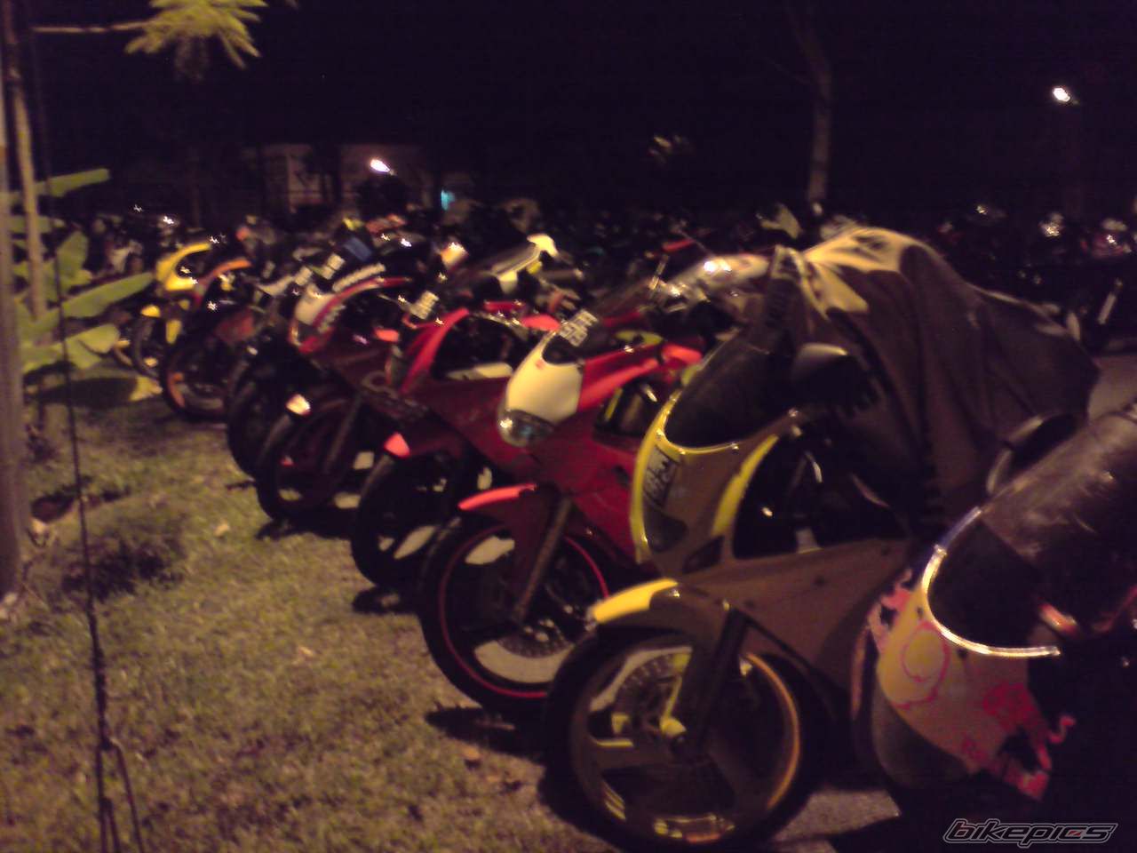 Photo 1456306