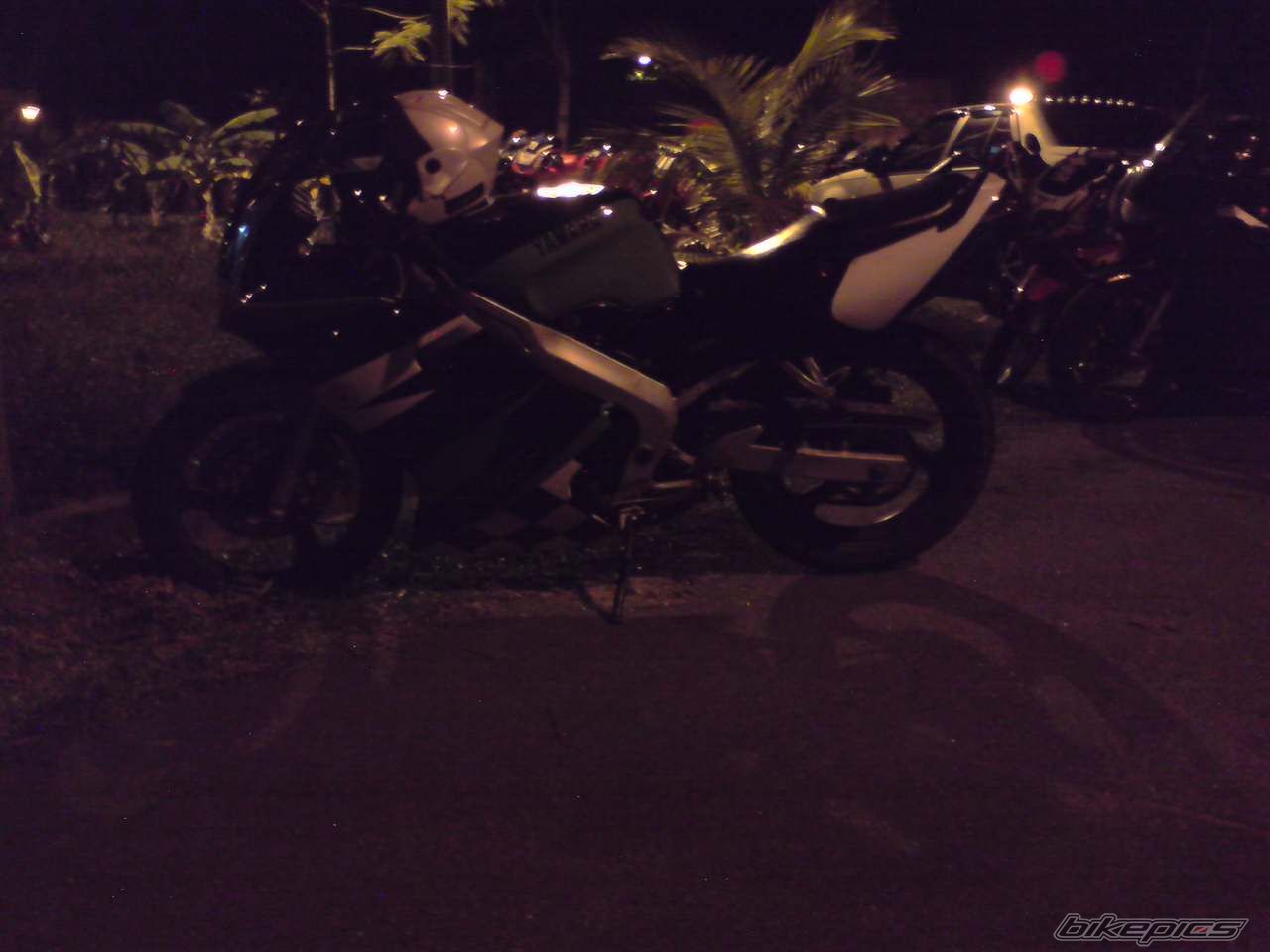 Photo 1456310