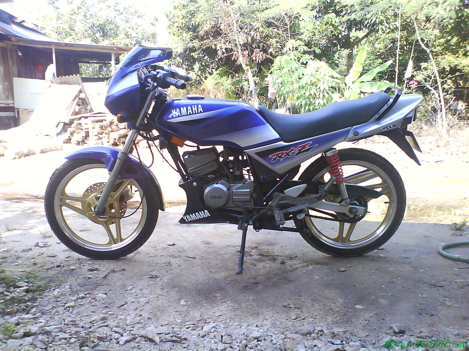 Photo 1456371