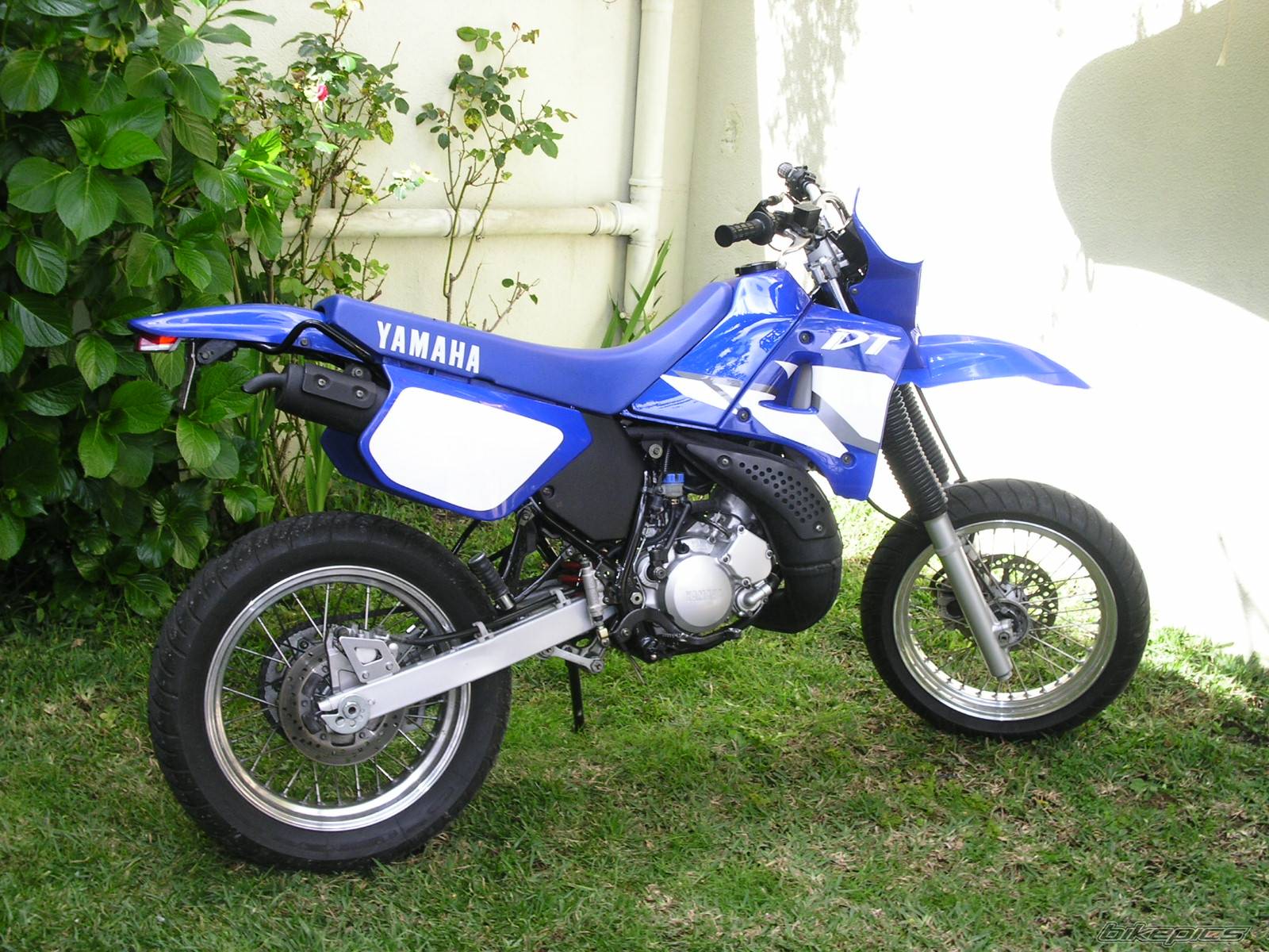 Photo 145645