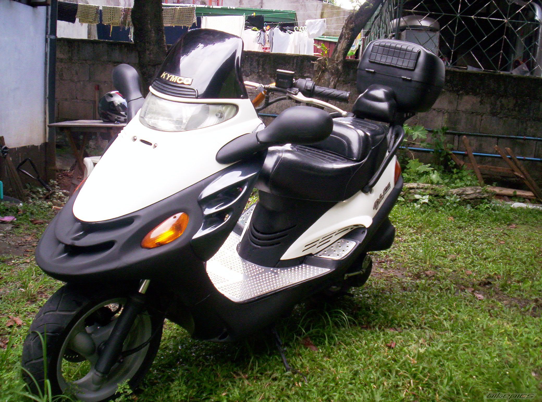 Photo 1456536
