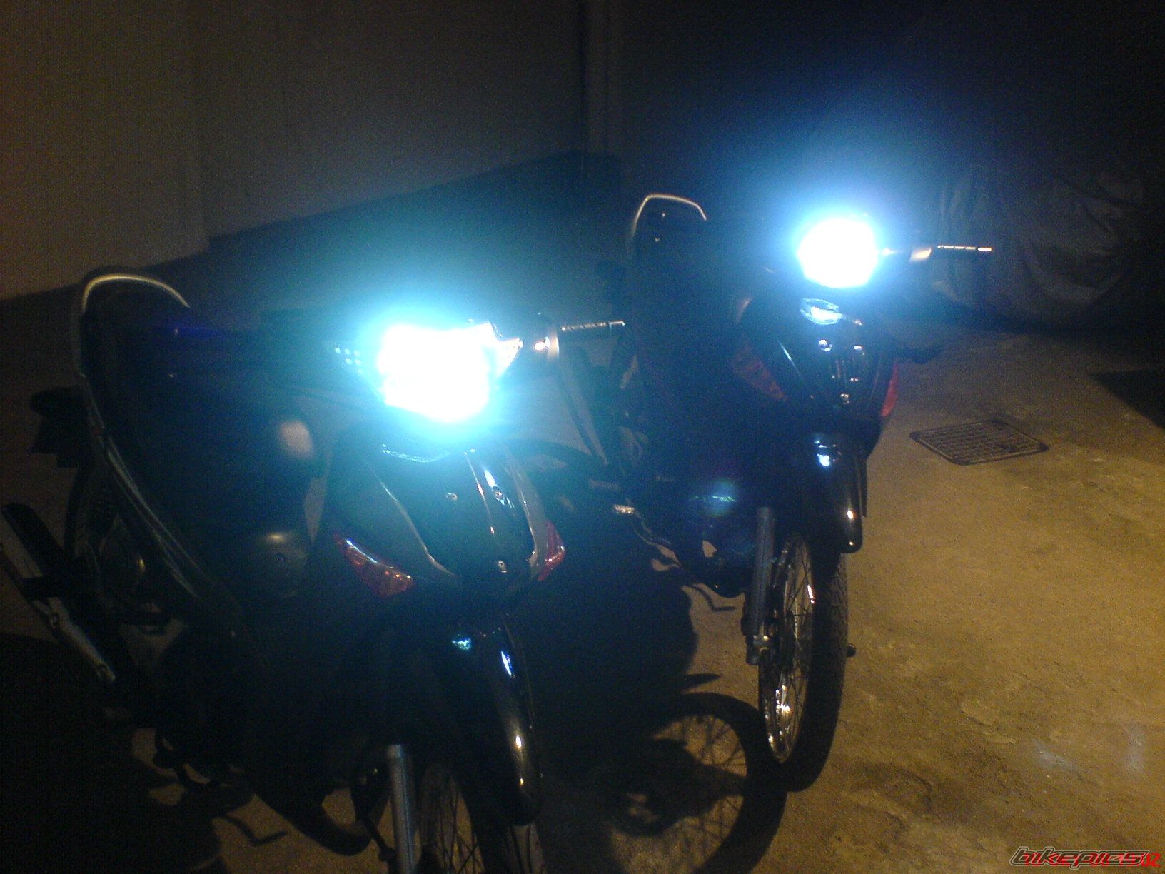 Photo 1456550