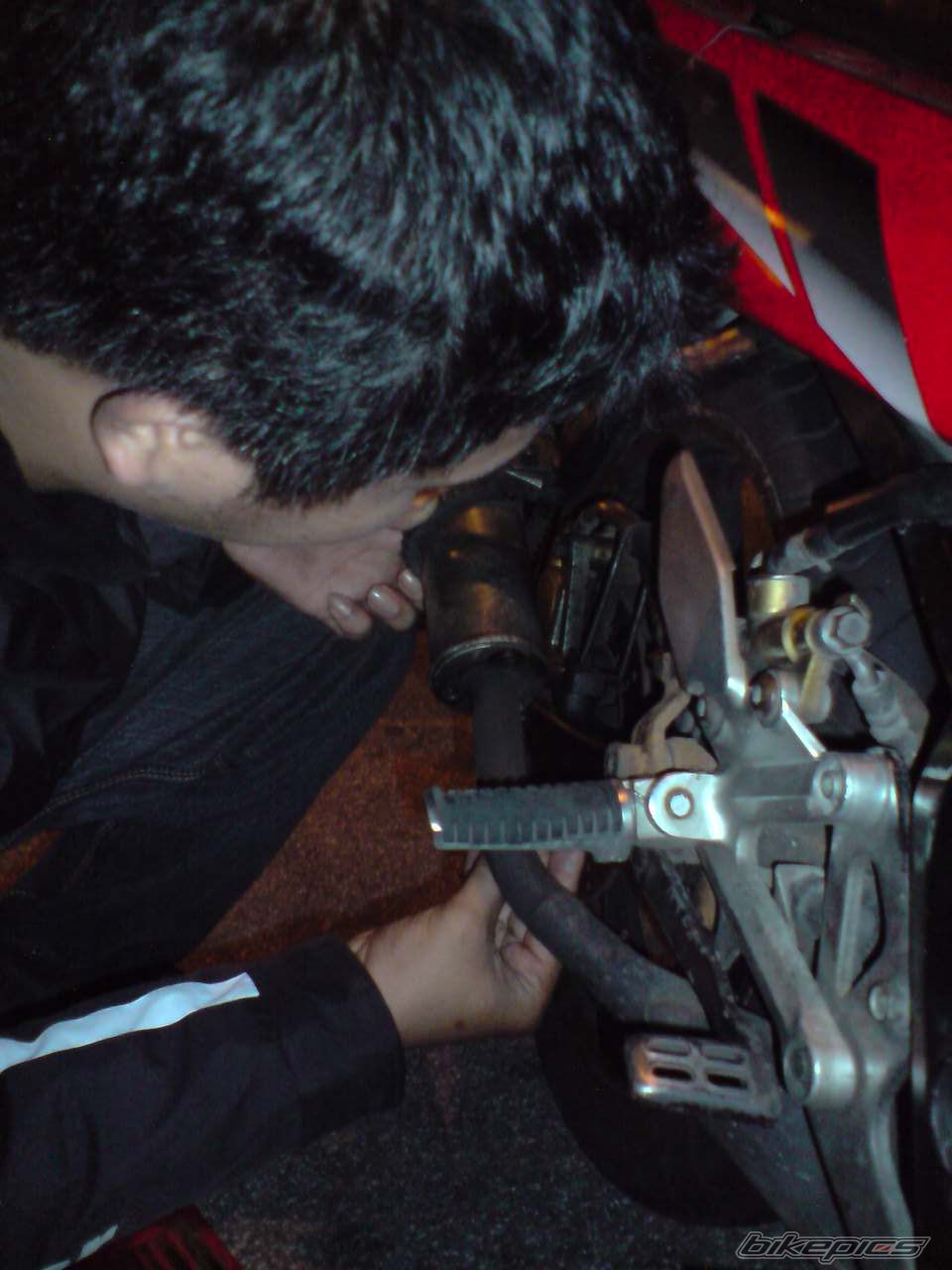 Photo 1456570