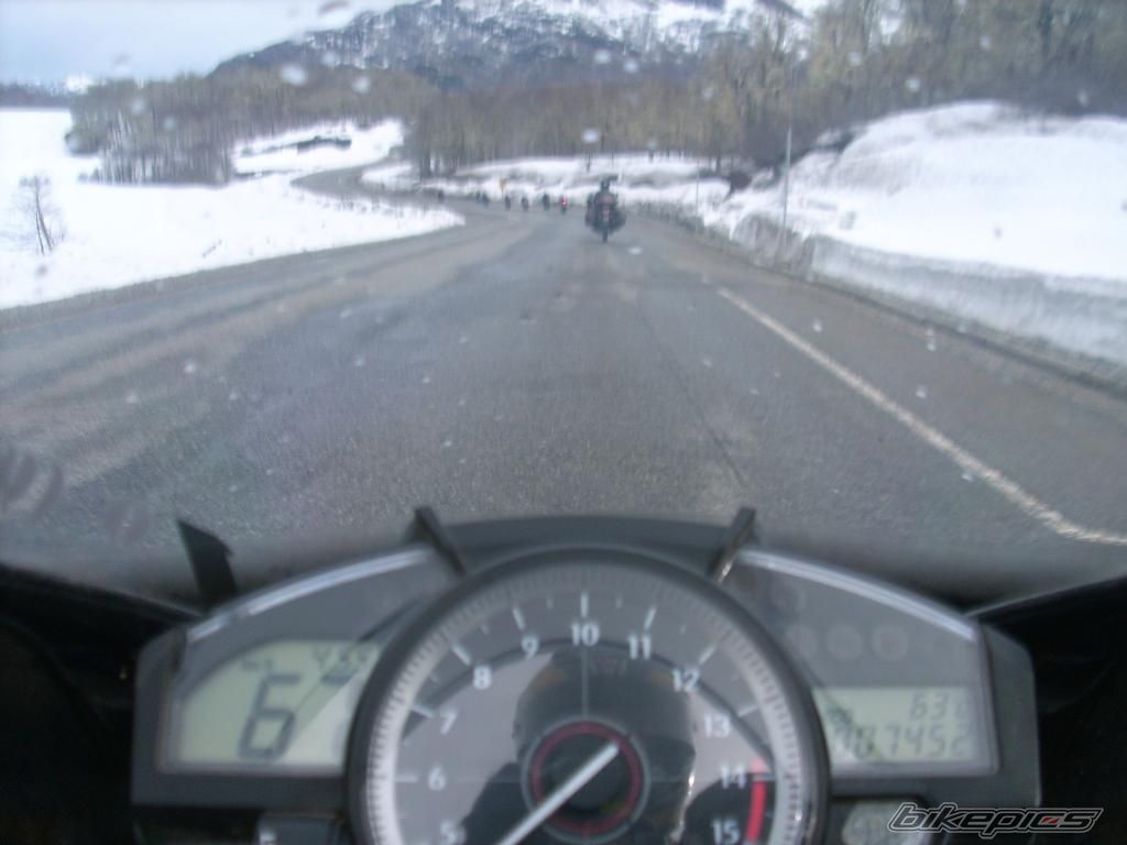 Photo 1456577