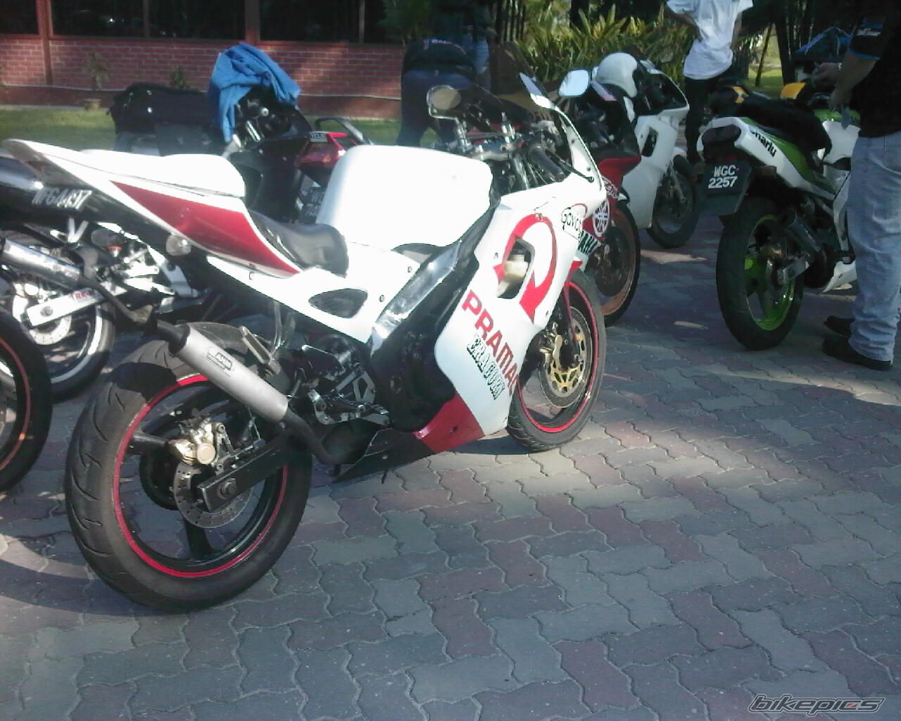 Photo 1456608