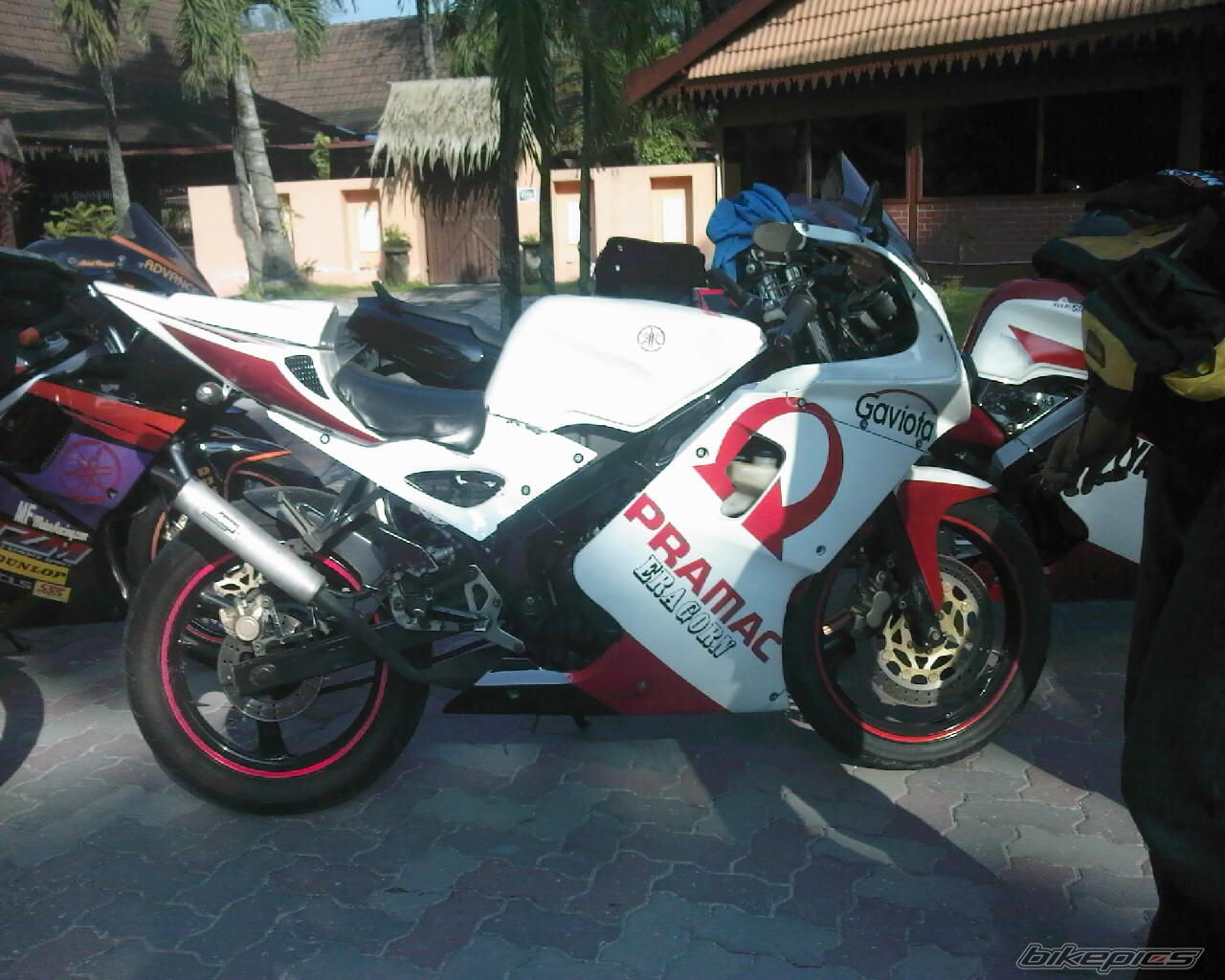 Photo 1456609