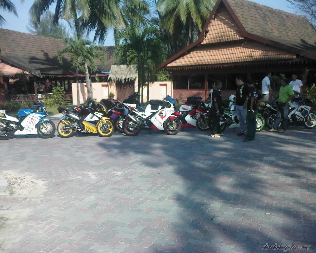 Photo 1456611