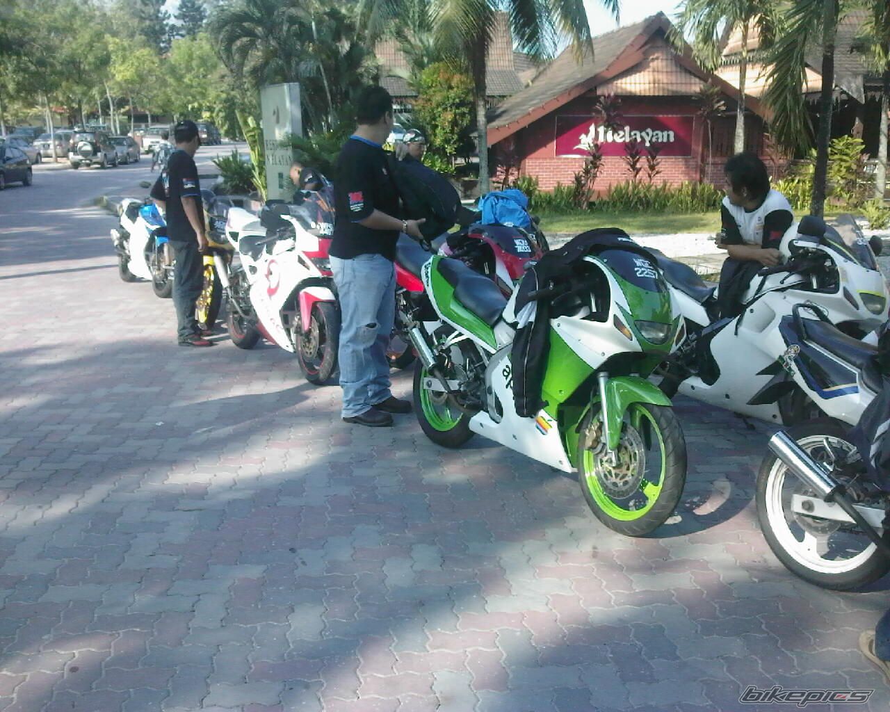 Photo 1456612
