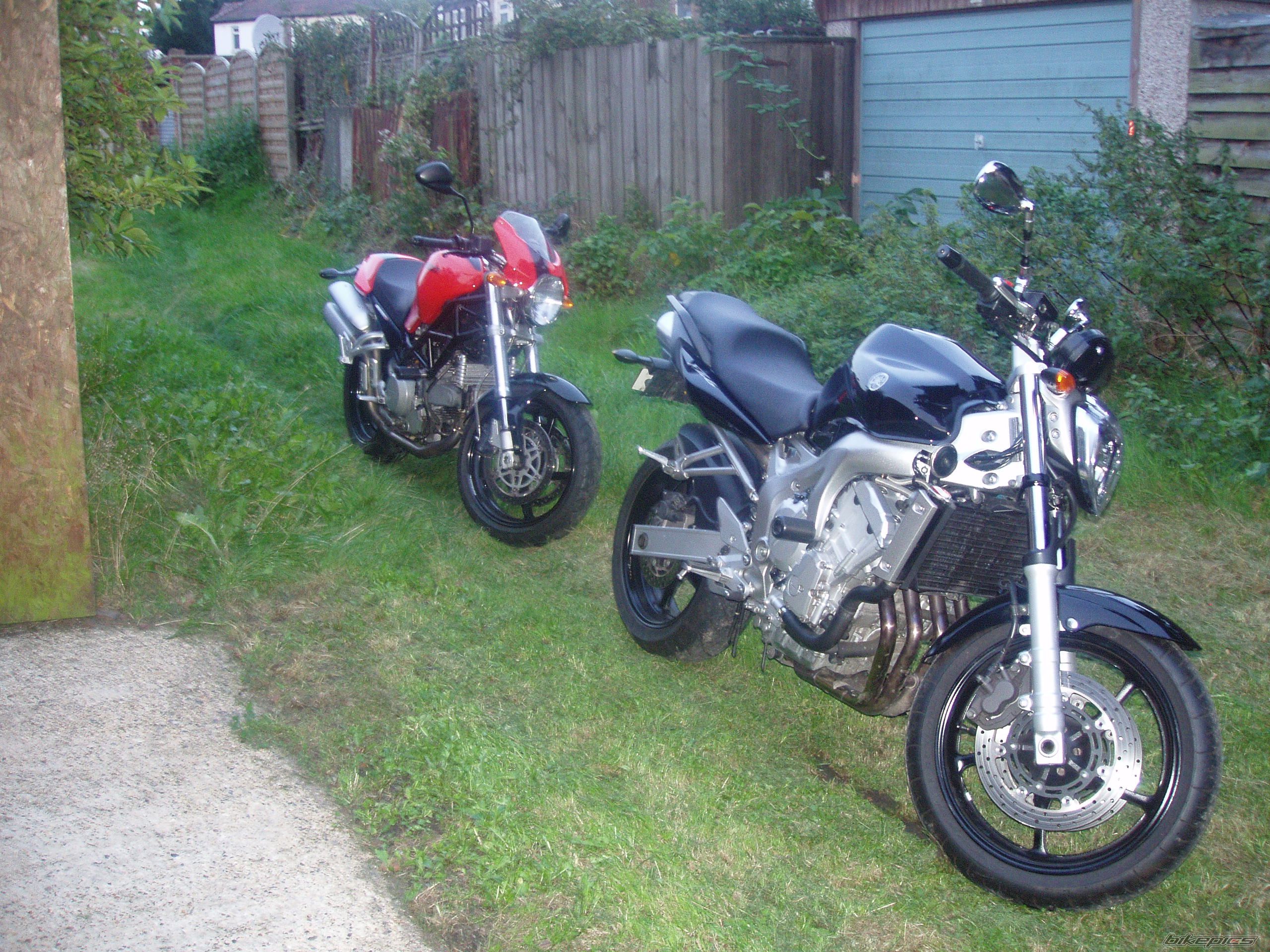 Photo 1456623