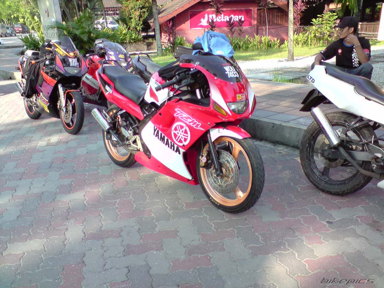 Photo 1456637