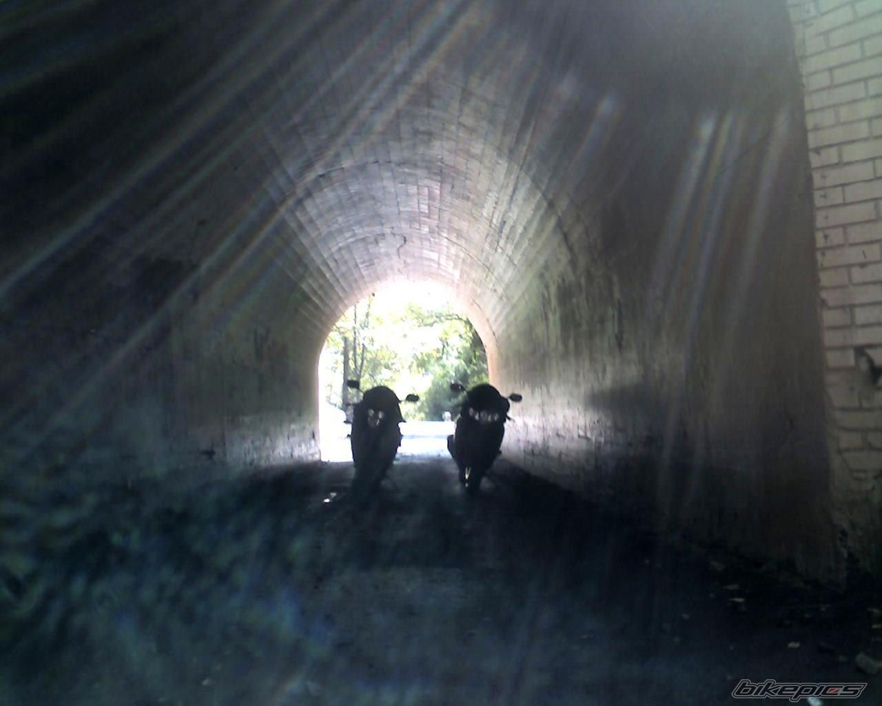 Photo 1456694