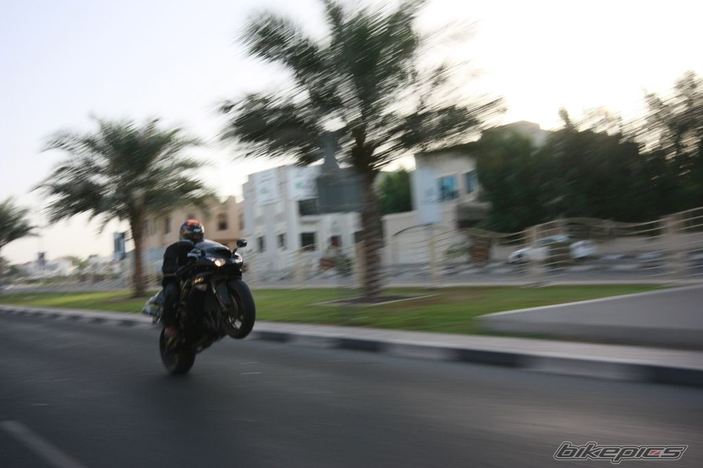 Photo 1456734