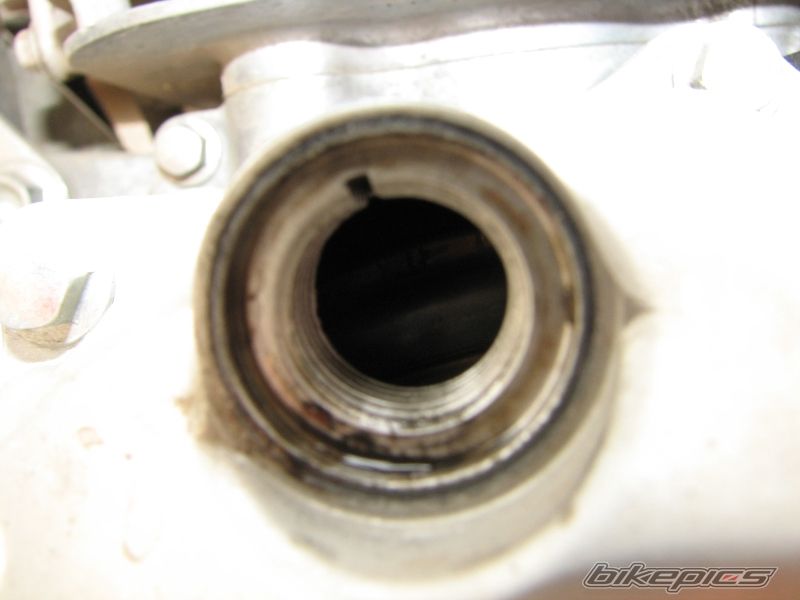 Photo 1456809