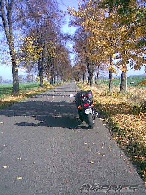 Photo 1456915