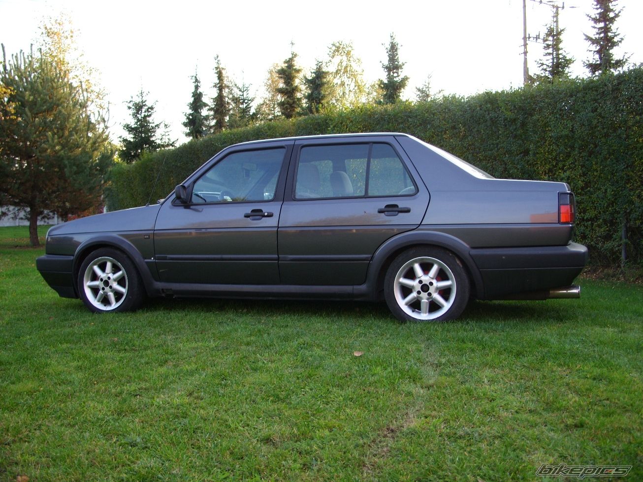 Photo 1456925