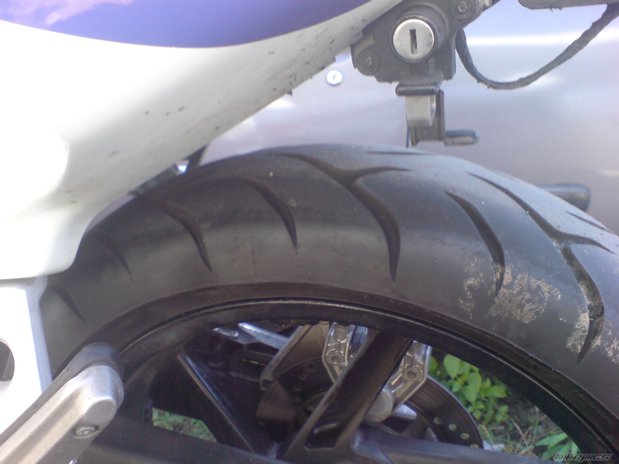 Photo 1456965