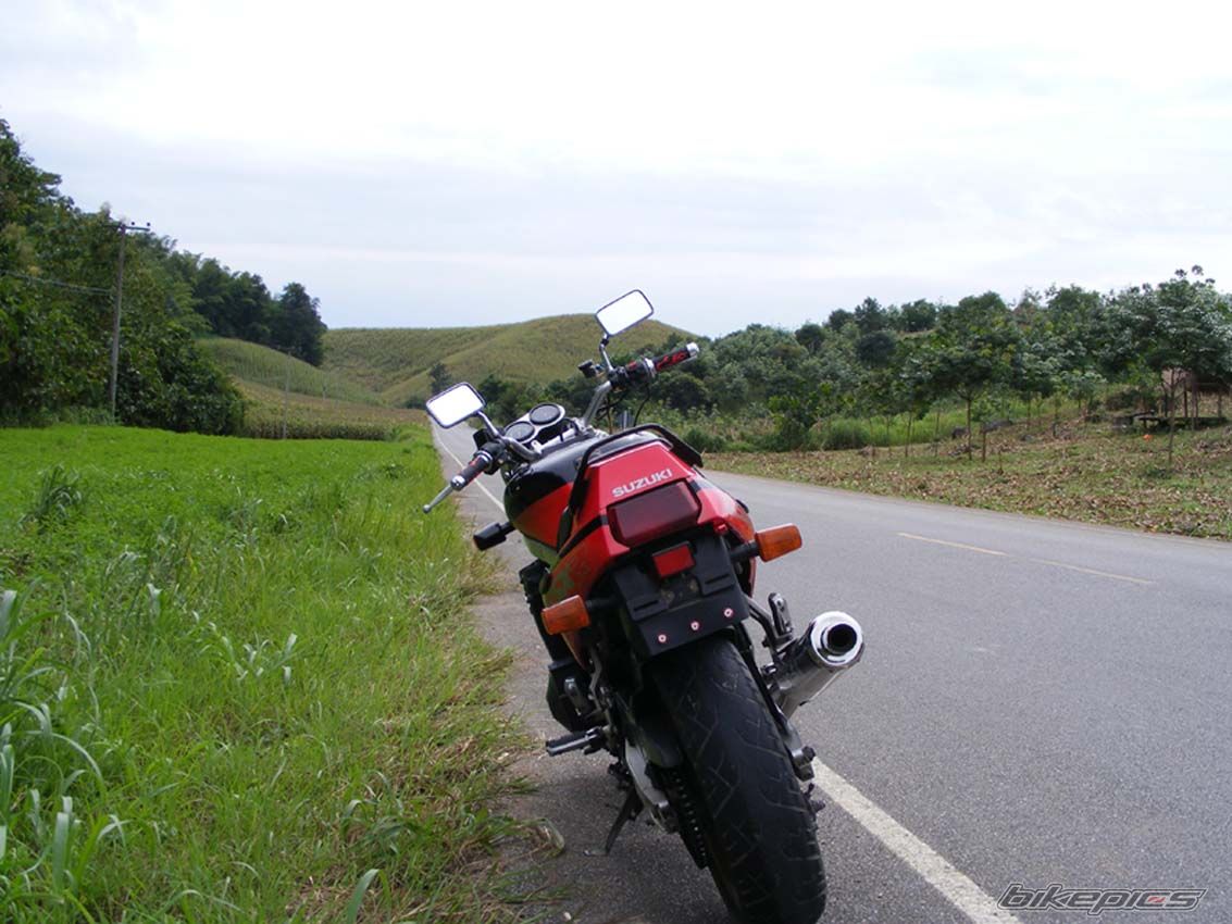 Photo 1456980
